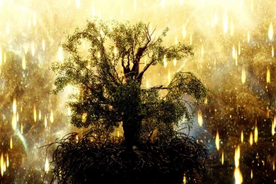 THE FOUNTAIN Fantasy Fire Wallpapers