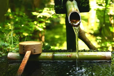 Photography   Page 363