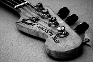 Fender Jazz Bass Head Music Hd Wallpapers