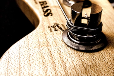 File:Fender Jazz Bass Vertical.jpg Wikimedia Commons