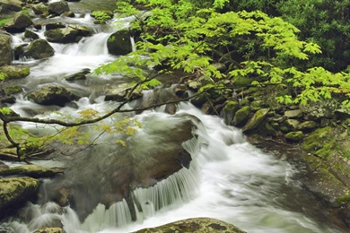 HD Widescreen Wallpapers: Extraordinary Desktop Nature Wallpapers