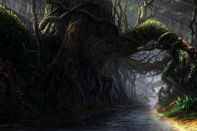 Top Over 50 And Wallpapers