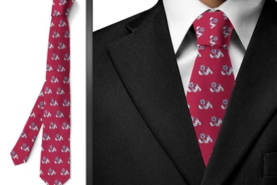 Fresno State University Bulldogs Wallpapers Tie Red