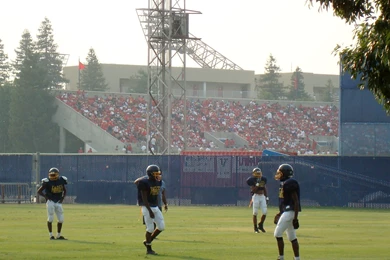 Fresno State Bulldogs Win College World Series