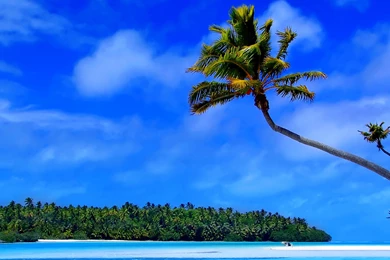 Beautiful Desktop Backgrounds