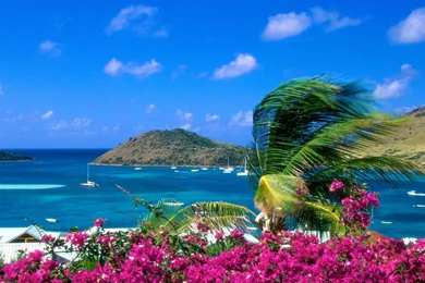 Beach Wide Hd Wallpapers   Free Hd Wallpapers