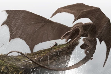 1920x1080 Dragon Tamer Warrior Wallpapers