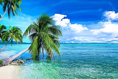 Free Download Hd Live Wallpapers For PC,desktop Wallpapers