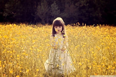 Cute Child In A Flower Field HD Desktop Wallpapers : Widescreen ...