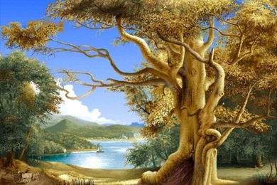 Beautiful Wallpapers Free Download