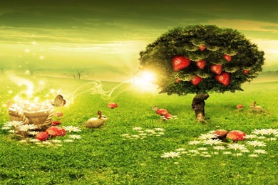 Desktop Live Wallpapers HD   Live Wallpapers HD Desktop Wallpapers