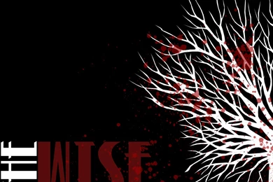 Psyren WISE Wallpapers 2 By Santo1989 On DeviantArt