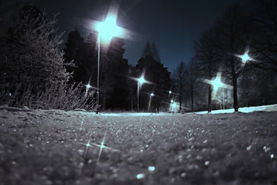 Winter: Snow Park Evening Winter Lumi Phone Wallpapers For High ...