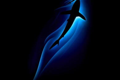 Hd Cell Phone Wallpapers – 1080×1920 High Definition Wallpapers ...