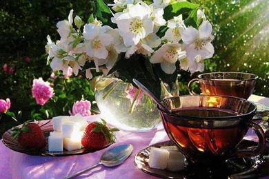 Bright Blog: Tea Time By Nichrysalis On DeviantArt