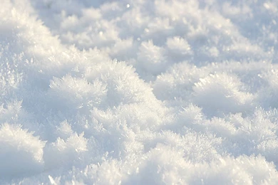 Only Winter Snow Wallpapers