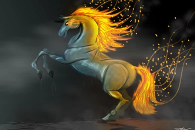 3d Horse Wallpapers
