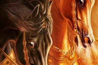 3D Horse 2 iPhone 5 Wallpapers, Backgrounds And Wallpapers