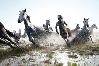 Wallpapers Horse And Centaur Running Digital Art   1680 X 1050 ...