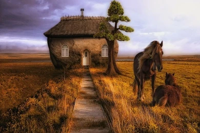 Digital,horses Digital Horses Creative House 3d Abstract 1280x1024 ...