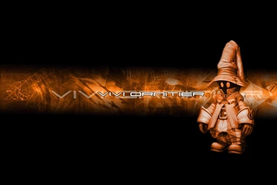 Top Robin Vivi Final Fantasy Wallpapers