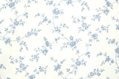 White & Blue Floral Wallpapers