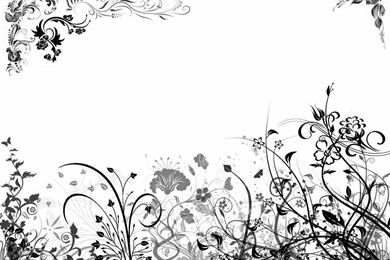 IN WHITE FLORAL DESKTOP WALLPAPER   (