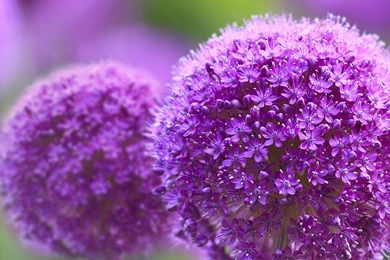 Free Mobile Phone Wallpapers Download ~ Toptenpack.com