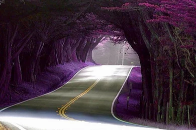 Nature Images Wallpapers Hd Free Download For Mobile, Desktop ...