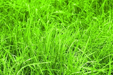 Mobile Wallpapers Collection (36+)