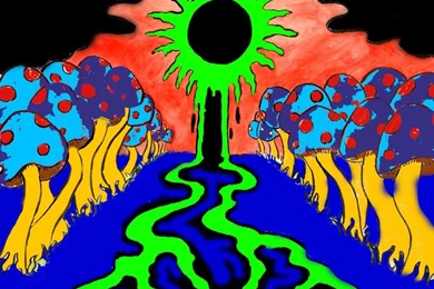 Cool Trippy Mushrooms   Danasrhp.top