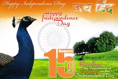 15th August Peacock Hd Wallpapers   Free Hd Wallpapers