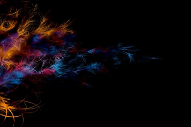 Colour Feathers 1440x900 Wallpapers, 1440x900 Wallpapers ...