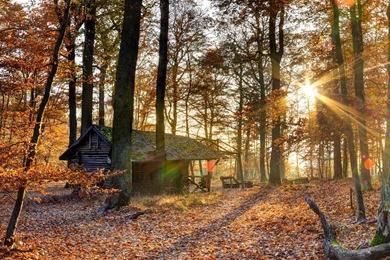 HD Beautiful Cabin Wallpapers And Photos