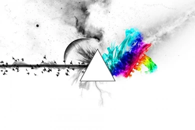 Black White With Colour Wallpaper,with HD Wallpaper,colour HD ...