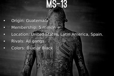 GANGS By Matthew Sandlin