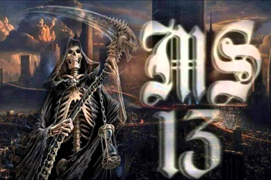MS 13 FLS Controla   YouTube