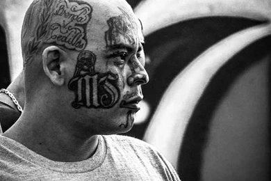 The Engineer: A Documentary From The Award winning Guerrilla Pictures