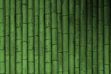 Green Wallpapers Archives   Page 18 Of 21   WideWallpaper.info ...