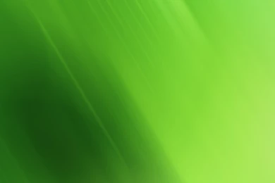Green Wallpapers