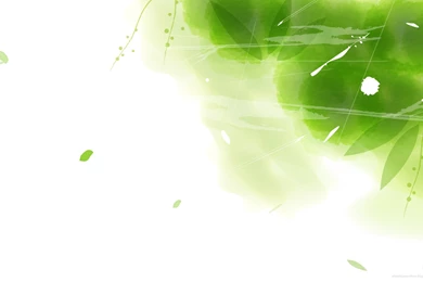 Green Abstract Wallpapers HD