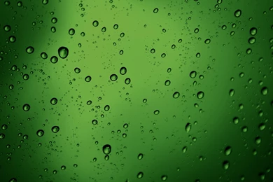 Wallpapers Of The Day: Green