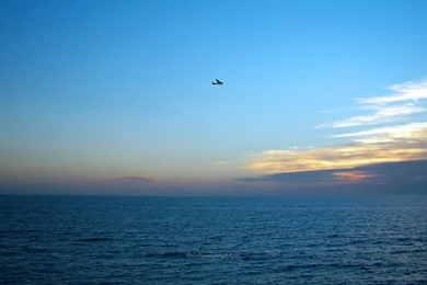 Wallpapers A Beautiful Mind Peace Of 1600x900