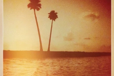 Beauty Tattoos: Kings Of Leon Wallpapers