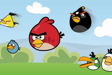 Angry Birds!   Pictures Collection Free Download   Mobogenie.com