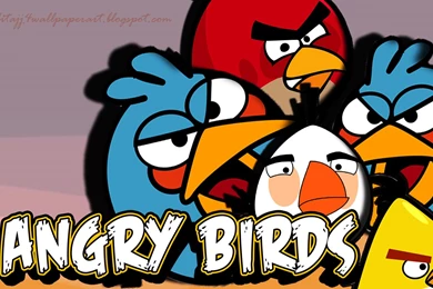 Angry Bird Wallpapers HD Picture D3W