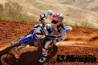 Bonus Wallpapers   James Stewart And Kyle Chisholm