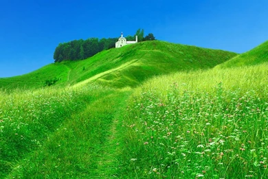 SOOTHING PEACE OF MIND PICTURES