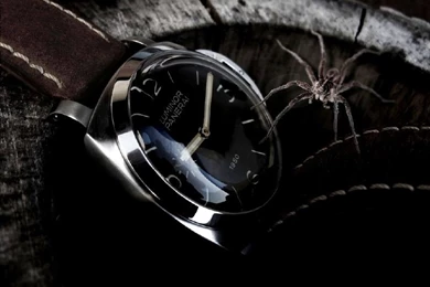 Luminor Marina Watch Case And Protecting The Winding Crown On The ...