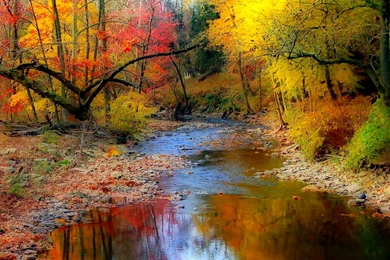 797627 Fall Wallpapers